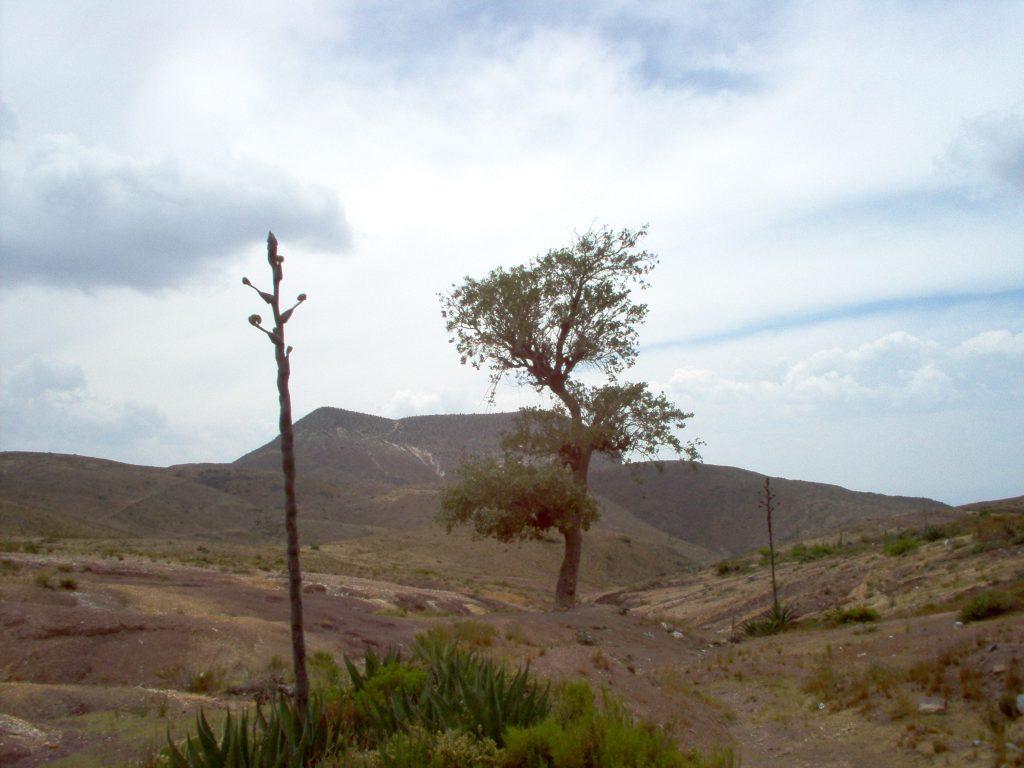 Una vista del Cerro Quemado - Real de Catorce